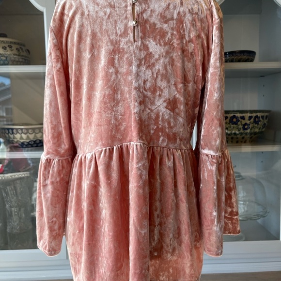Cupio Velour Pink Blush Flounce Sleeve Empire Waist Top Sz S​​​ - Picture 4 of 6